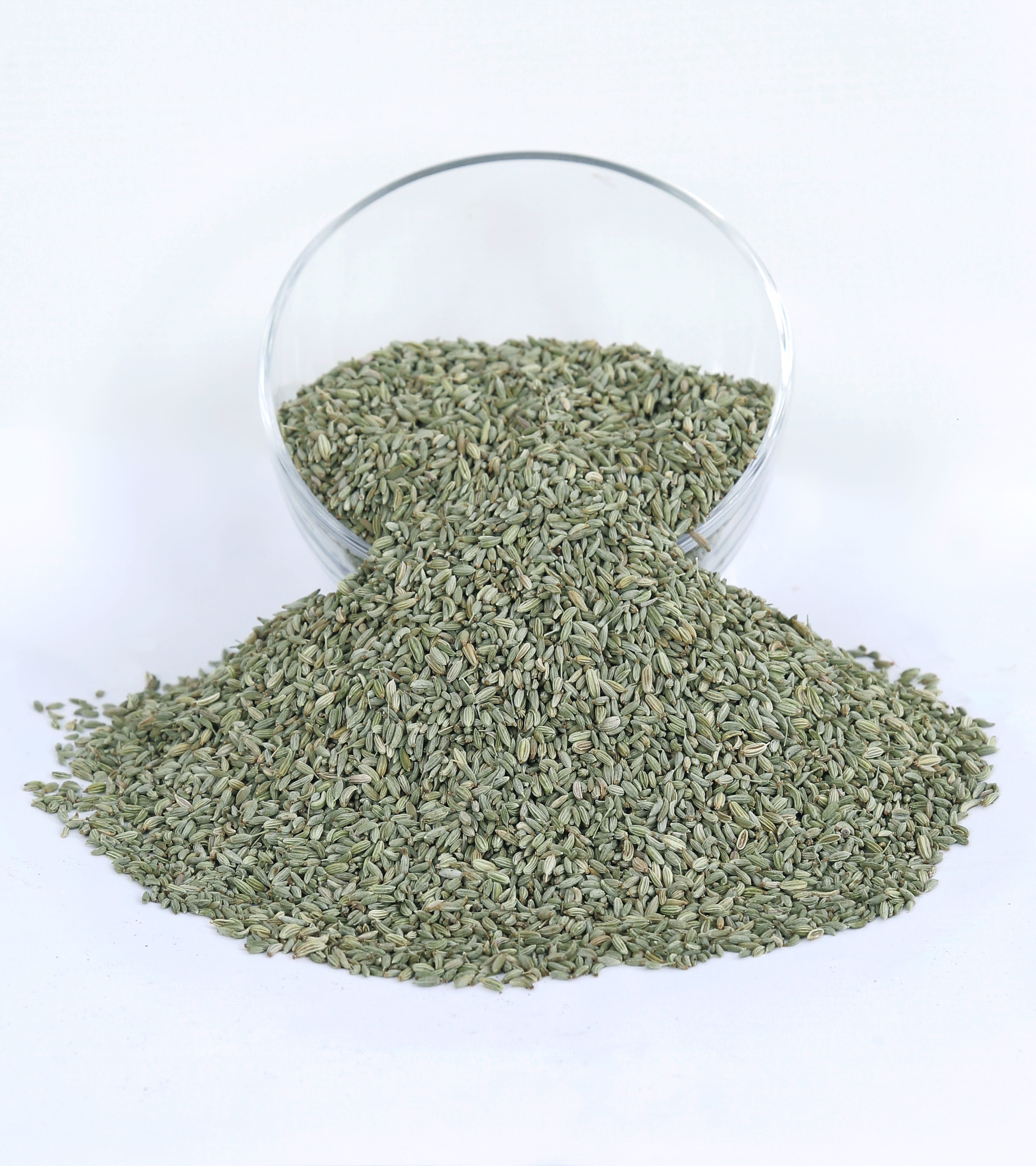 Fennel